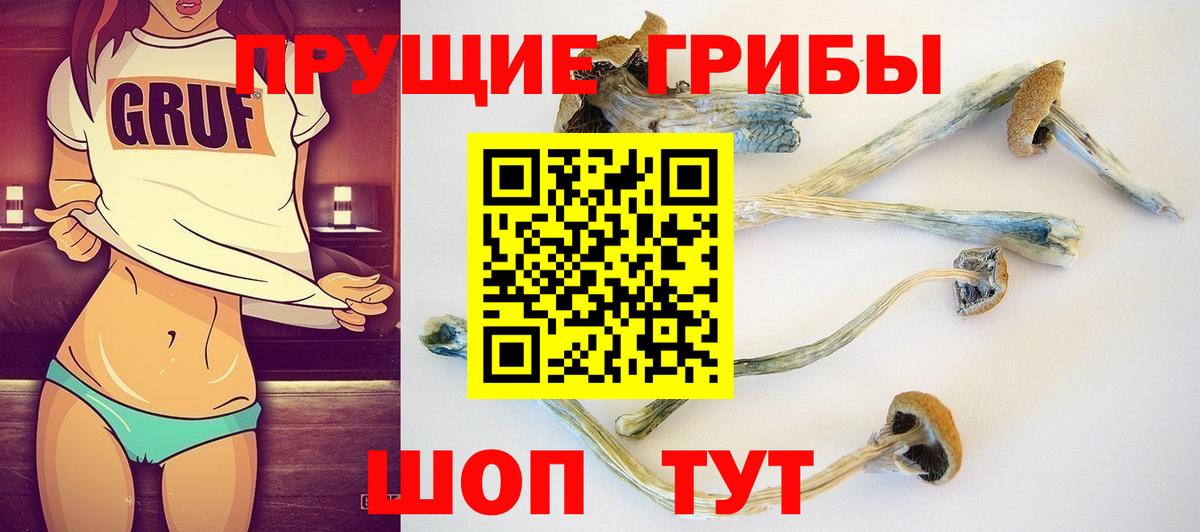 Галлюциногенные грибы Cubensis Норильск