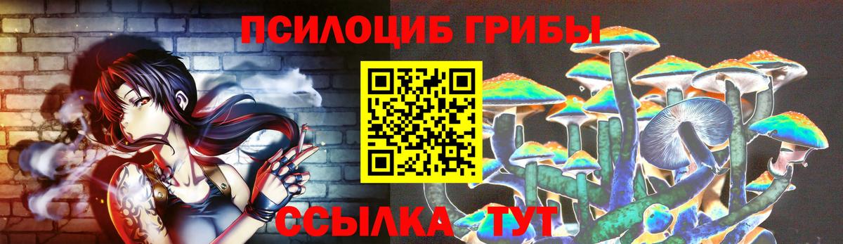 Норильск  Галлюциногенные грибы прущие грибы  Вход с VPN 