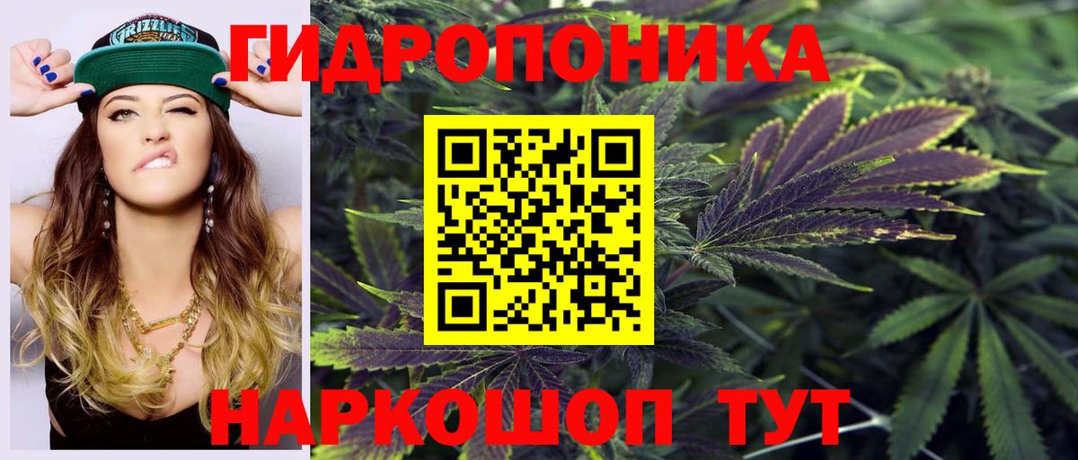 Шишки марихуана Ganja  Бошки марихуана индика  Бошки марихуана марихуана  МАРИХУАНА конопля  Норильск  Вход с VPN 